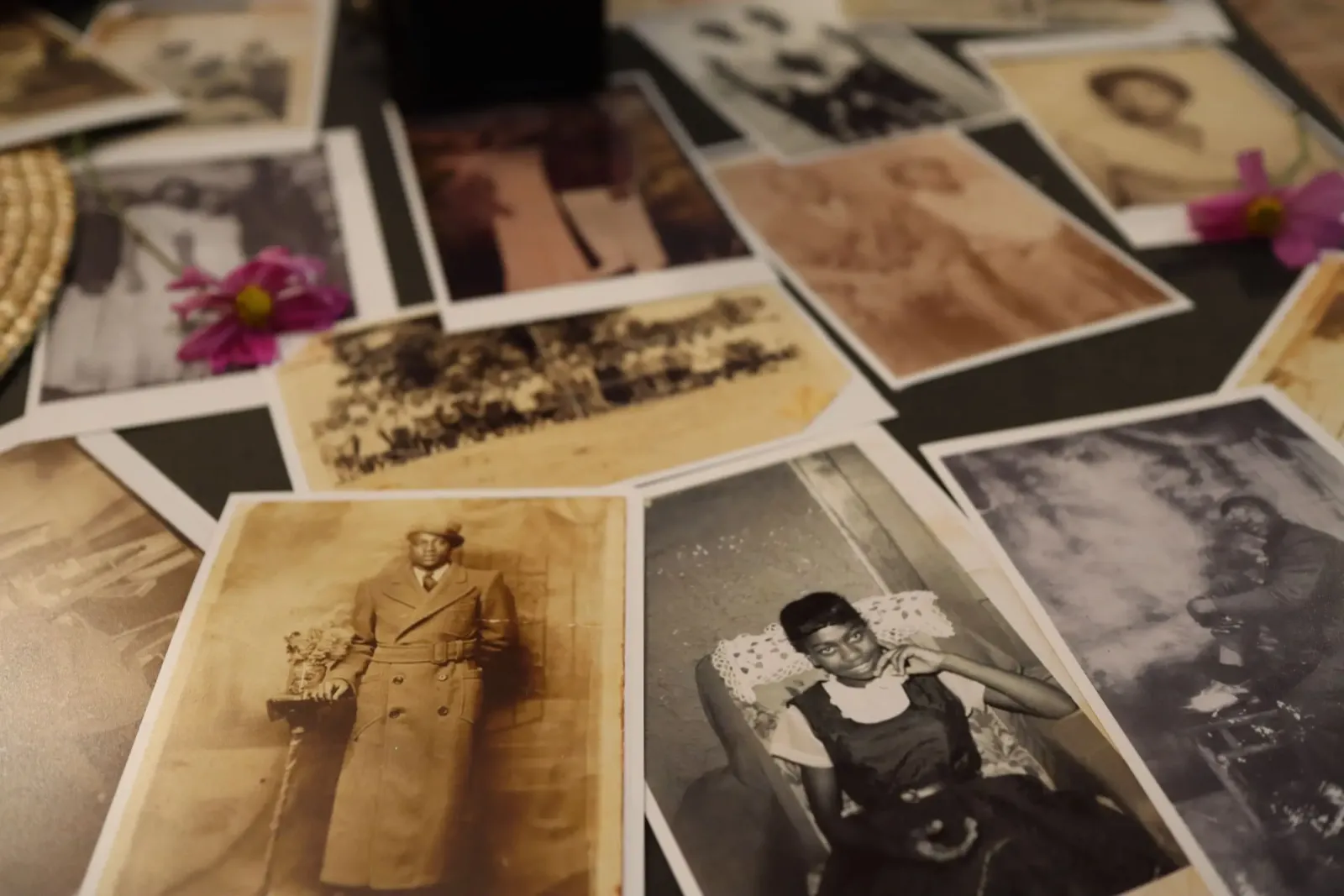 Old sepia family photographs scattered across a table, with pink cosmos flowers among them